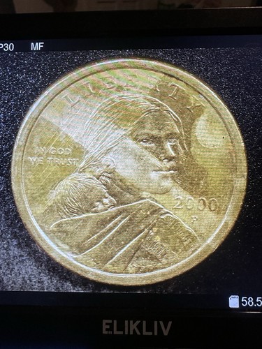 Moneta rara dollaro - rara,